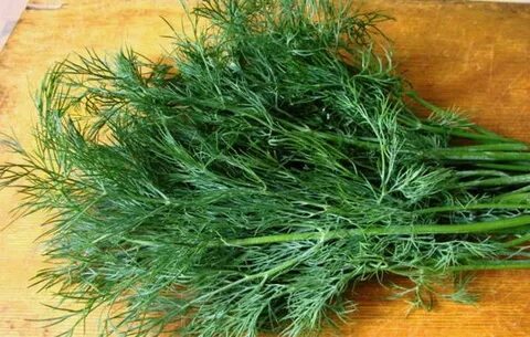 قیمت سبزی شوید خشک صادراتی امروز بازار + شرایط خرید